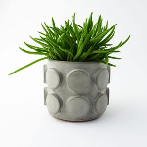 Peut inclure: Un petit pot en béton gris clair avec un motif géométrique de cercles en relief, rempli de plantes succulentes vertes et épineuses vibrantes. Le pot a une esthétique simple et moderne, parfaite pour une utilisation intérieure ou extérieure. La plante est un ajout vif à tout espace.