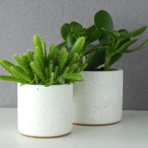 May include: Two white concrete planters with a green succulent plant in each. The planters have a speckled texture and a cork base.