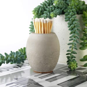 May include: A grey concrete match holder with a cork base, filled with wooden matches. The holder has a rounded shape and is set against a backdrop of green succulents and a white pot.