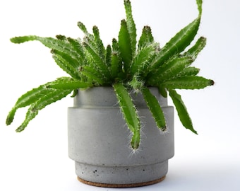 Maceta pequeña de hormigón hecha a mano: Maceta moderna y minimalista para cactus y suculentas, decoración minimalista para el hogar