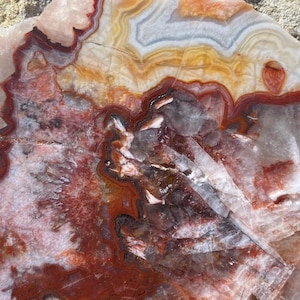 May include: A large, irregularly shaped agate slice with a white, orange, and red banded pattern. The agate has a translucent quality and shows intricate details of the banding.