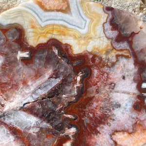May include: A large, flat, polished agate slice with a variety of colors, including red, white, orange, and brown. The agate has a banded pattern and a crystalline texture.