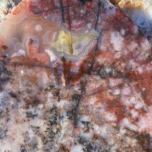 May include: A large, irregularly shaped piece of agate with a variety of colors, including white, pink, red, brown, and black. The agate has a banded pattern and a smooth, polished surface.
