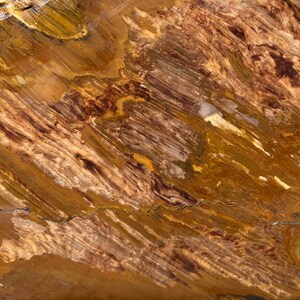 THICK! Biggs Jasper Beers Mine Unpolished Lapidary Slab Rough Slice GORGEOUS wood grain pattern! 383 grams