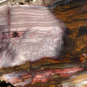 THICK! Kowallabe Quartzite Unpolished Lapidary Slab Rough Slice 352 grams