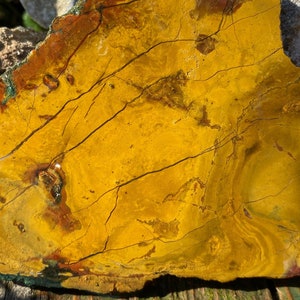 Kaleidoscope Jasper Unpolished Lapidary Slab Rough Slice from Oregon 100 grams