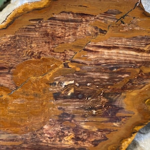 THICK! Biggs Jasper Beers Mine Unpolished Lapidary Slab Rough Slice GORGEOUS wood grain pattern! 303 grams