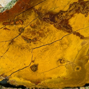 Kaleidoscope Jasper Unpolished Lapidary Slab Rough Slice from Oregon 111 grams