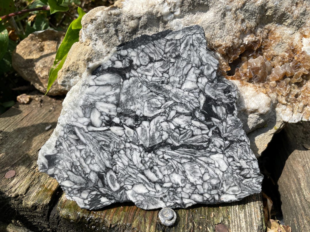 Pinolith Pinolite Raw Unpolished Lapidary Slab Rough Slice Märbelstein ...