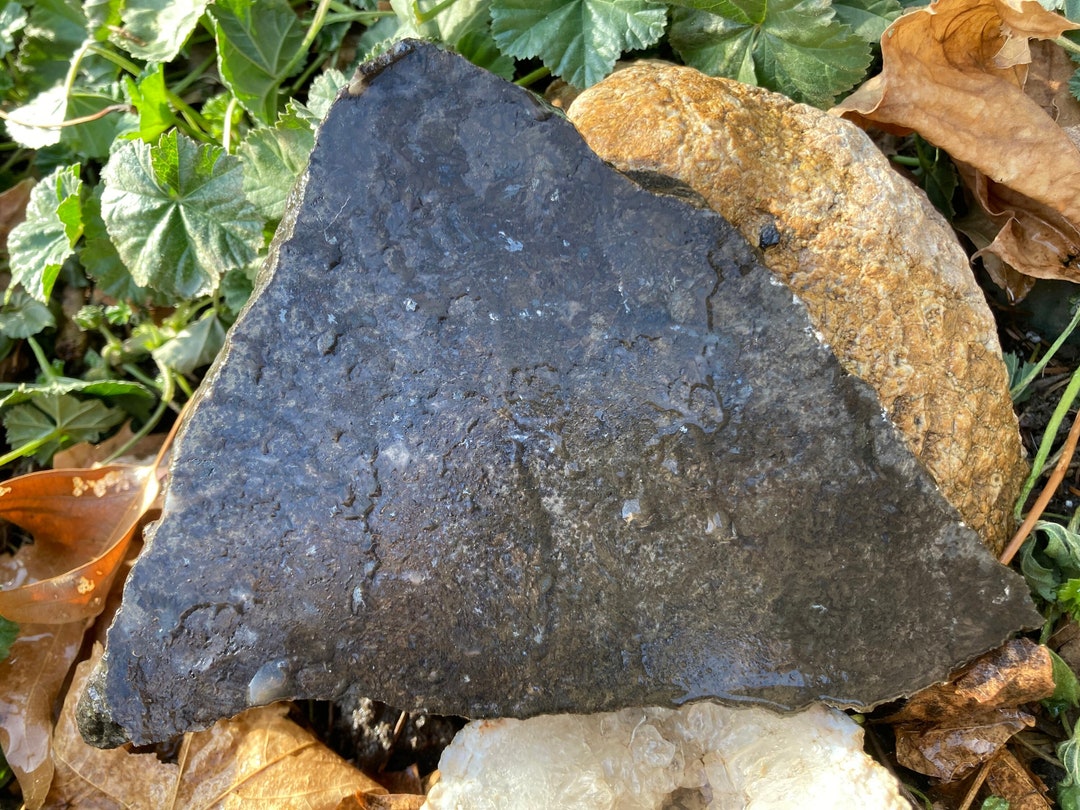 Metallic Plume Agate Unpolished Slab Raw Lapidary Rough Slice From