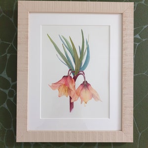 Klein handgeschilderd origineel aquarel schilderij Botanische kunst Keizerskroon 18 x 26 cm Fritillaria Imperialis Dajana Stoy CreativeArtJourneyDS