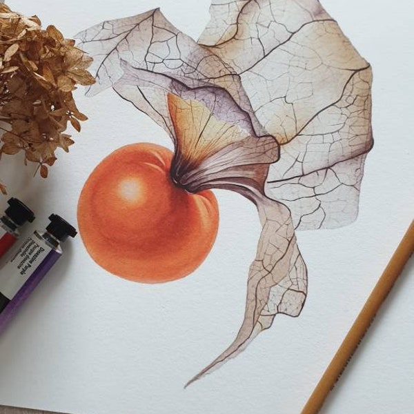 Kunstdruck vom Original Aquarell, Gemüse Wand Dekoration, Kapstachelbeere, Physalis, CreativeArtJourneyDS Dajana Stoy Limitiert