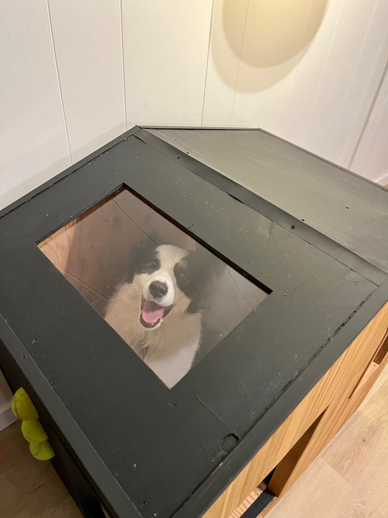 Scandinavian Modern Dog House Etsy