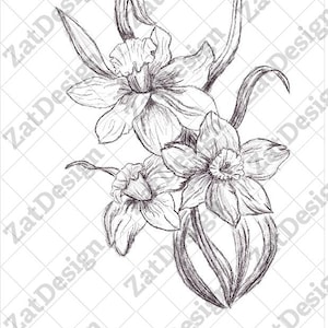 Narzissen Tattoo Design