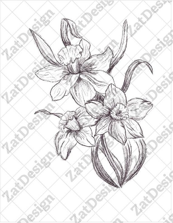 Daffodil Tattoo Design - Etsy UK