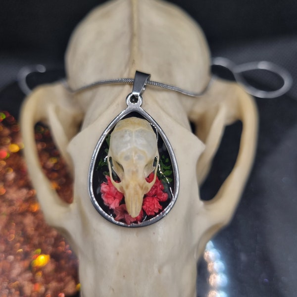 Mausschädel Halskette| Taxidermy| Gothic| Wicca| Schmuck| Jewelry| Mouse Skull