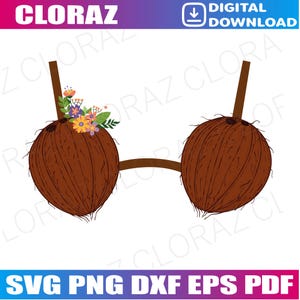 Sommar kokosnöt BH Halloween kostym kokosblommor BH Svg, kokos SVG, kokosnöt Cricut, kokoscocktail Svg, sommar Svg, kokosdryck