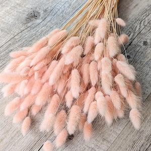 Dried Flowers Lagurus Bunch Large Pack Salmon DIY Set - DekoPanda