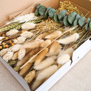 Dried flowers DIY mix flower box natural eucalyptus for creative projects - DekoPanda