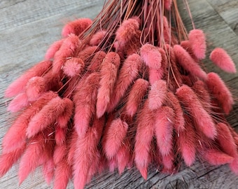 Trockenblumen Lagurus Bund Großpackung Pink DIY Set - DekoPanda