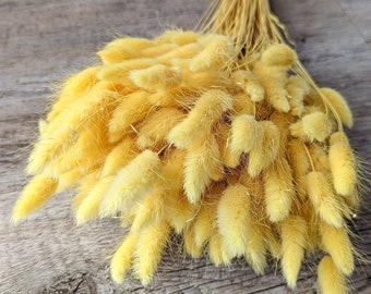 Dried Flowers Lagurus Bunch Large Pack Yellow DIY Set - DekoPanda