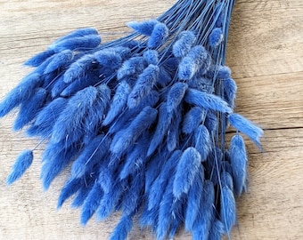 Dried Flowers Lagurus Bunch Large Pack Blue DIY Set - DekoPanda