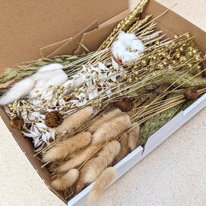 Dried flowers DIY Mix Box different colors and box sizes for projects - DekoPanda