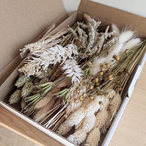 Dried flowers DIY mix flower box natural white for creative projects - DekoPanda