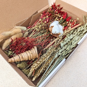 Dried flowers DIY Mix Box different colors and box sizes for projects - DekoPanda