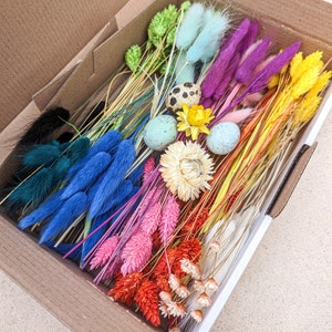 Dried flowers DIY mix flower box rainbow for creative projects - DekoPanda