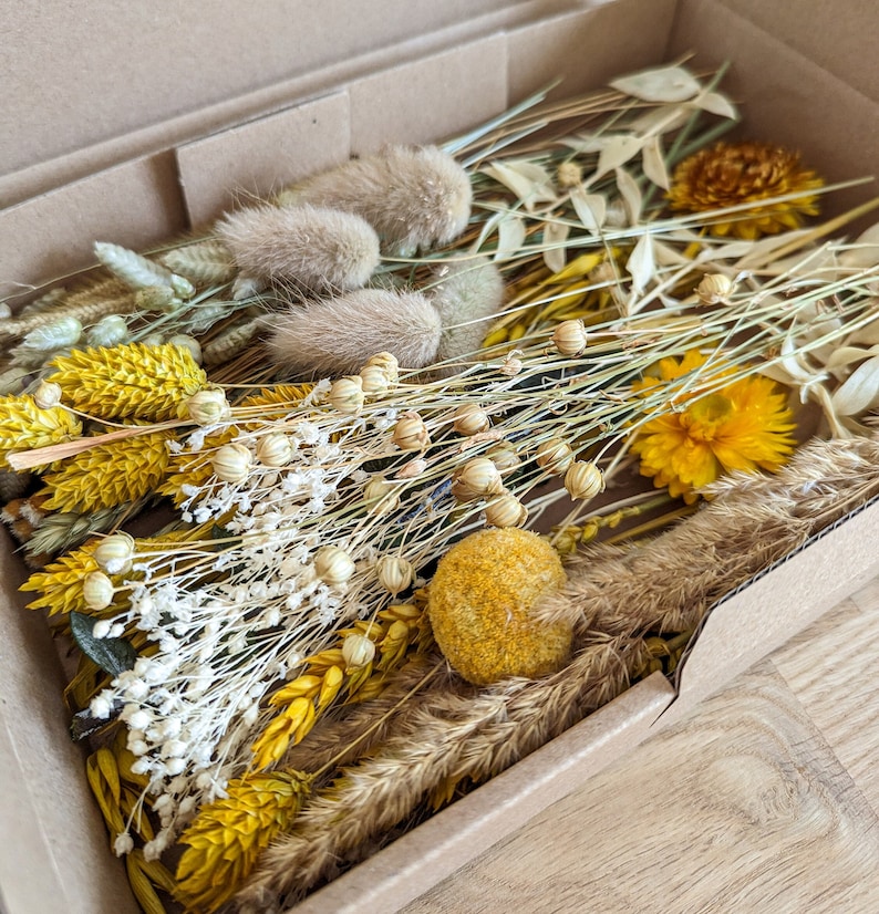 Trockenblumen DIY Mix Blumenbox verschiedene Farben und Boxgrößen für kreative Projekte DekoPanda Gelb/Natur