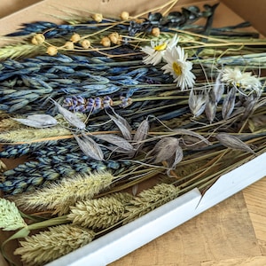 Dried Flowers DIY Mix Flower Box Blue Natural White for Creative Projects - DekoPanda