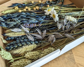 Dried flowers DIY mix flower box blue natural white for creative projects - DekoPanda