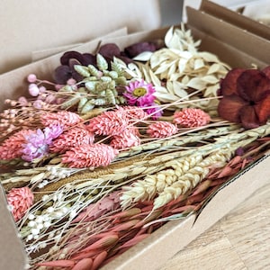 Trockenblumen DIY Mix Blumenbox verschiedene Farben und Boxgrößen für kreative Projekte DekoPanda Rosa/Natur