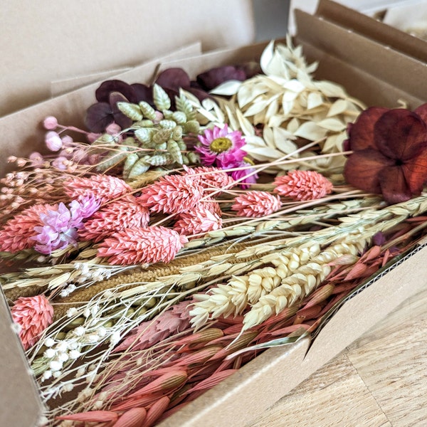 Trockenblumen DIY Mix Blumenbox Rosa Natur Weiß für kreative Projekte - DekoPanda