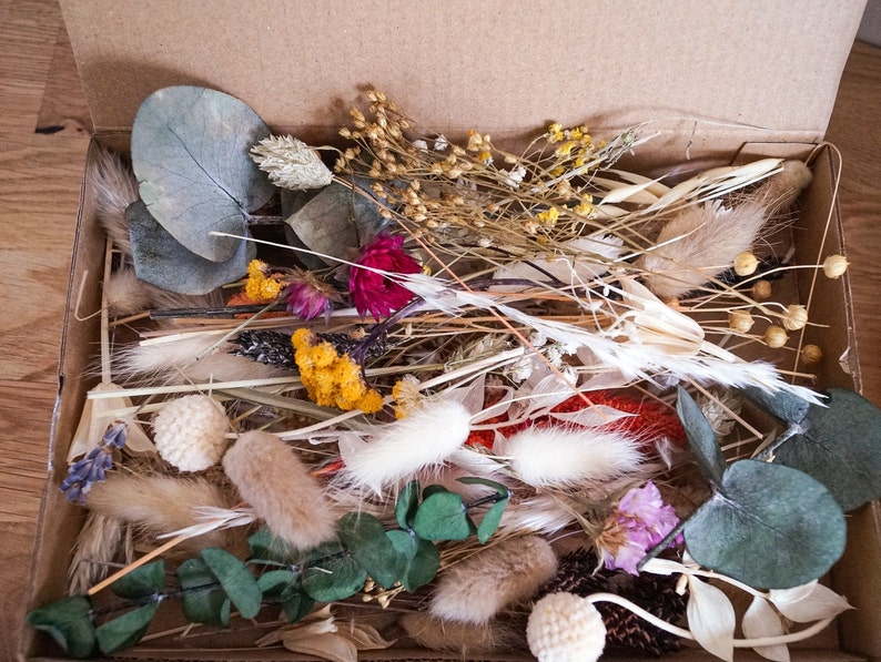 Trockenblumen DIY Mix Blumenbox verschiedene Farben und Boxgrößen für kreative Projekte DekoPanda Mix Box