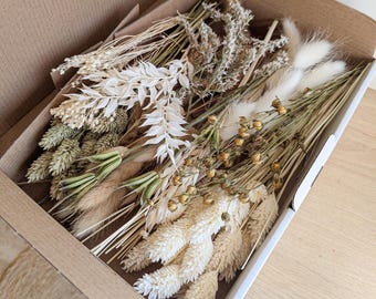 Caixa de Flores Secas Brancas Naturais – Mix de Flores DIY para Coroas, Decorações e Presentes – DekoPanda®
