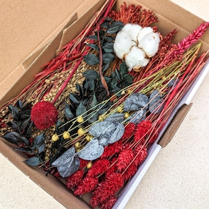 Dried flowers DIY Mix Box different colors and box sizes for projects - DekoPanda