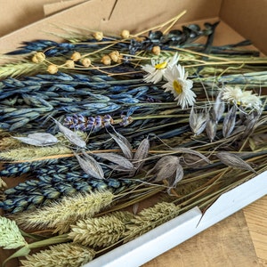 Trockenblumen DIY Mix Blumenbox verschiedene Farben und Boxgrößen für kreative Projekte DekoPanda Blau/Natur