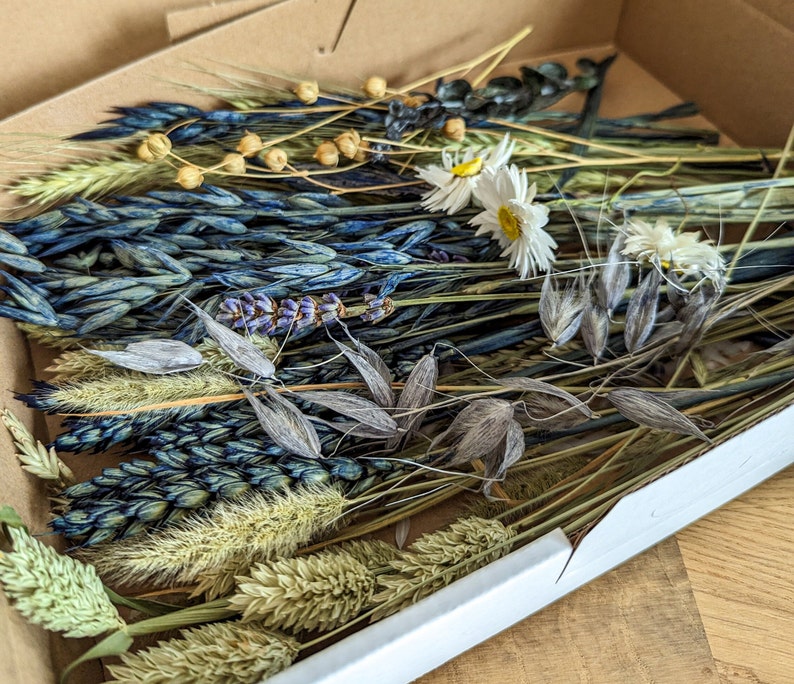 Trockenblumen DIY Mix Blumenbox verschiedene Farben und Boxgrößen für kreative Projekte DekoPanda Blau/Natur