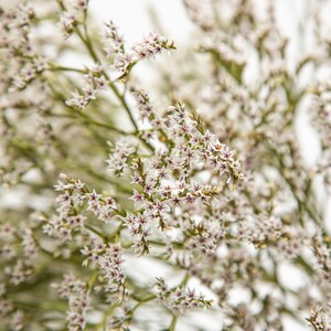 May include: Close-up of a bouquet of white and purple flowers with green stems. The flowers have a star-like shape and are clustered together. The background is blurred, creating a soft focus.
