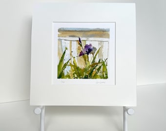 IRIS Watercolor Floral Print, Bearded Iris Painting, Iris Flower Art, Farmhouse Decor, Garden Watercolors, Gift for Gardener, Gift for Mom