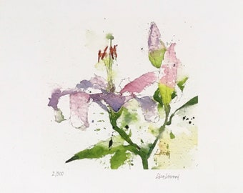 Lily Watercolor Floral Print: Still Life Kitchen Decor