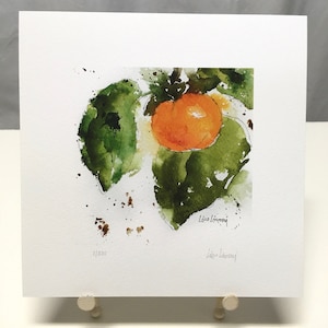 PERSIMMON Watercolor Fruit Print, Persimmon Painting, Persimmon Wall Art, Fruit Painting, Home Wall Decor, Gardener Gift, Housewarming Gift