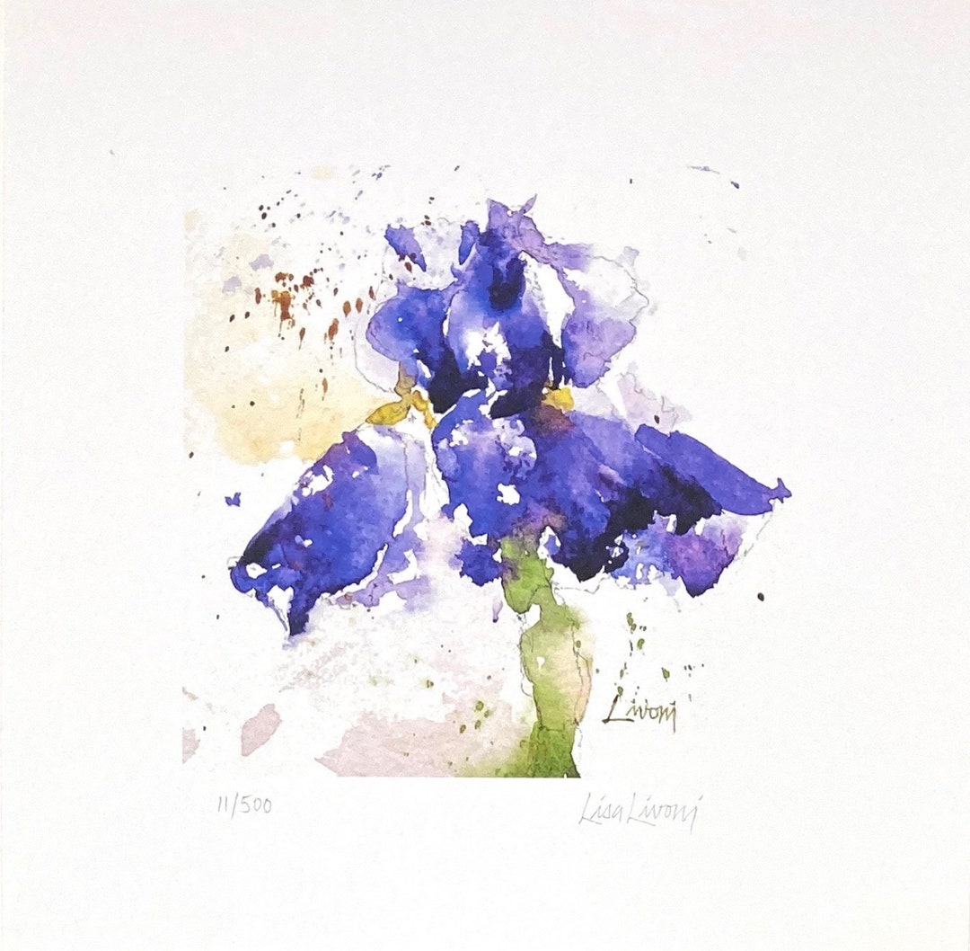 IRIS Watercolor Floral Print Bearded Iris Painting Iris - Etsy