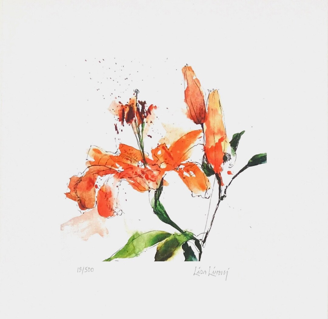 LILY Watercolor Flower Print Tiger Lily Painting Lily Art Etsy