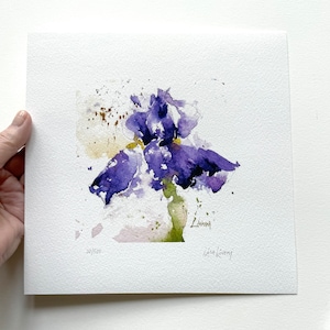IRIS Watercolor Floral Print, Bearded Iris Painting, Iris Flower Art, Farmhouse Decor, Garden Watercolors, Gift for Gardener, Gift for Mom