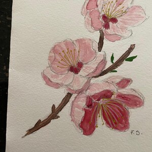 Splendido Almond Blooms A5 biglietto piegato dipinto a mano