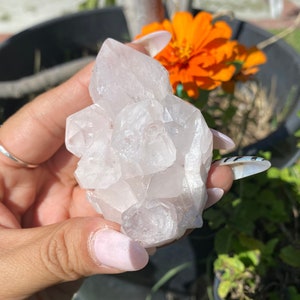 Pink Lemurian Quartz Crystal, New Rare Find, Pink Colombian Lemurian, Crown Chakra, Chakra Alignment, Santander, Colombia
