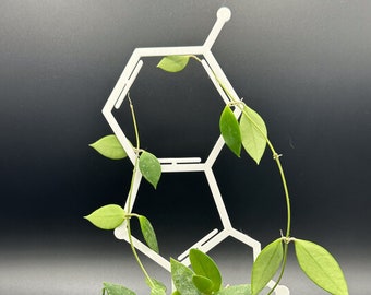 Serotonin Trellis for climbing plants | 3D Printed Serotonin Trellis for indoor House Plants | Science | Chemistry | Biology